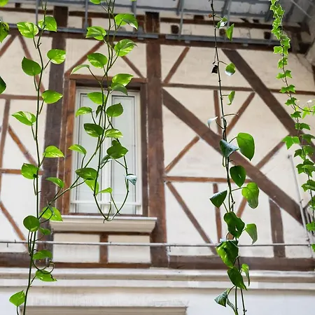 לינה וארוחת בוקר Monteoliveto