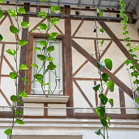 Monteoliveto Bed and Breakfast Νάπολη
