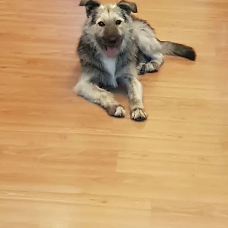 Monteoliveto 4* Nápoles